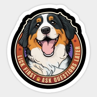 Lick First Bernese Mountain Dog Design Sticker